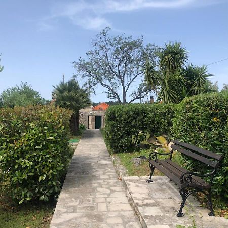 Charming Apartment For 3 Pax In Cavtat Dış mekan fotoğraf
