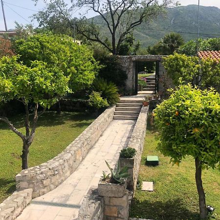 Charming Apartment For 3 Pax In Cavtat Dış mekan fotoğraf