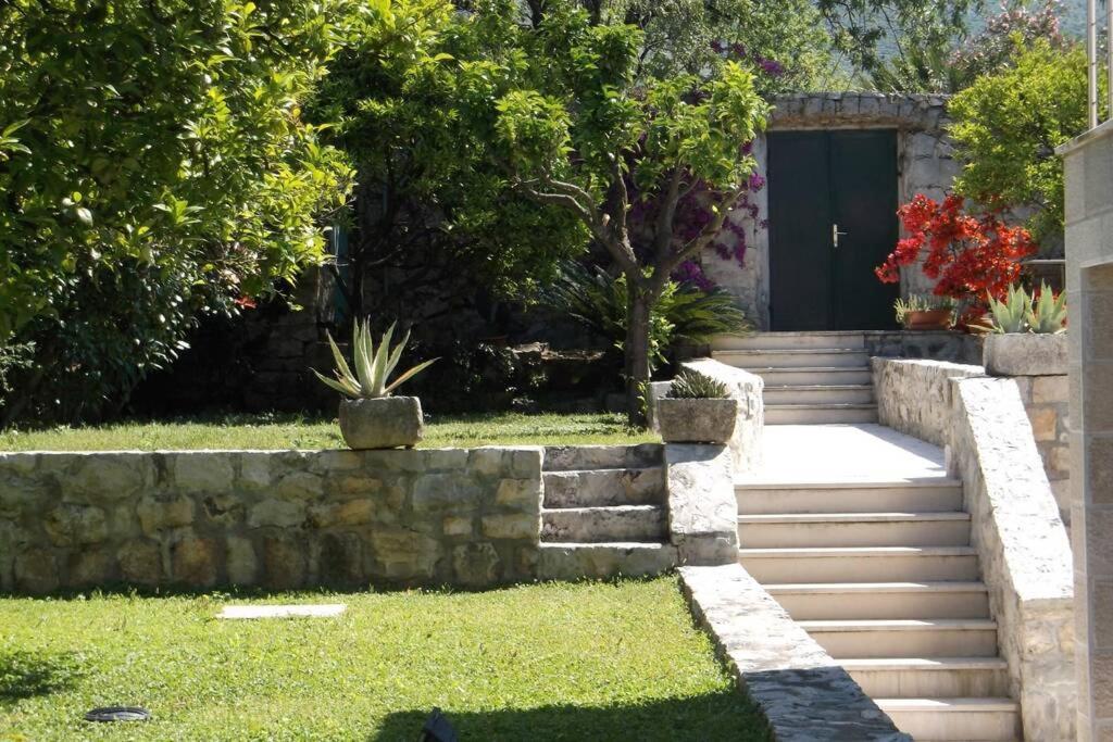 Charming Apartment For 3 Pax In Cavtat Dış mekan fotoğraf
