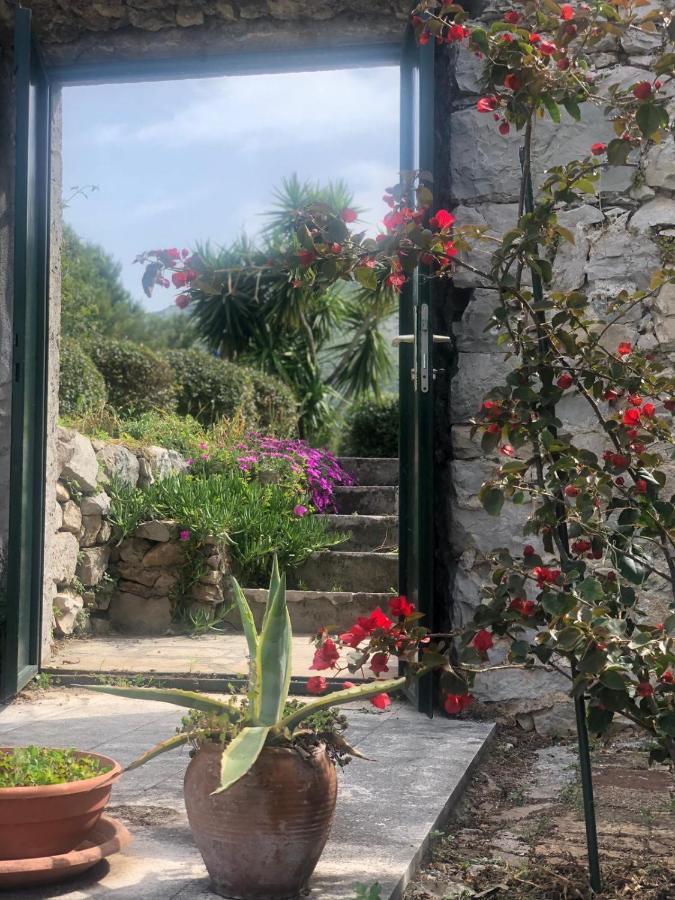 Charming Apartment For 3 Pax In Cavtat Dış mekan fotoğraf
