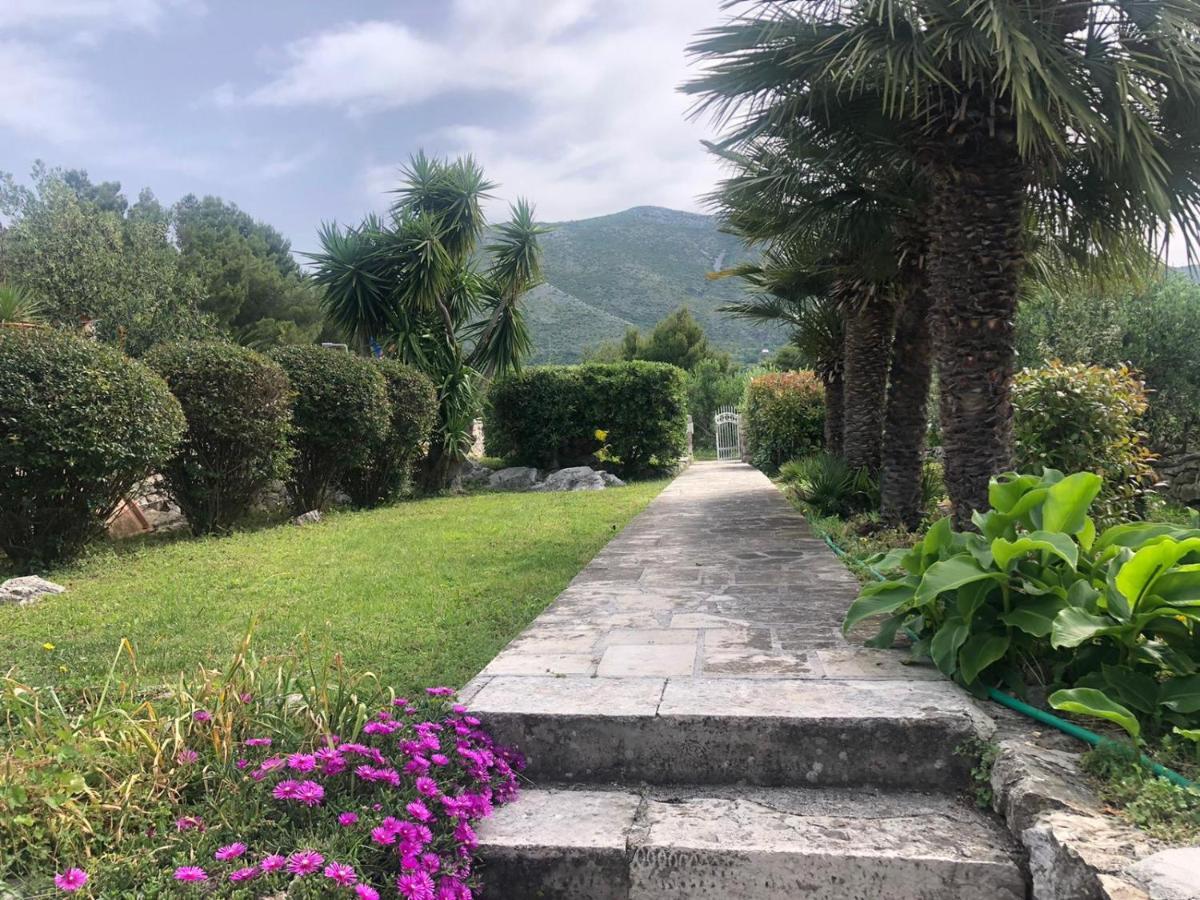 Charming Apartment For 3 Pax In Cavtat Dış mekan fotoğraf