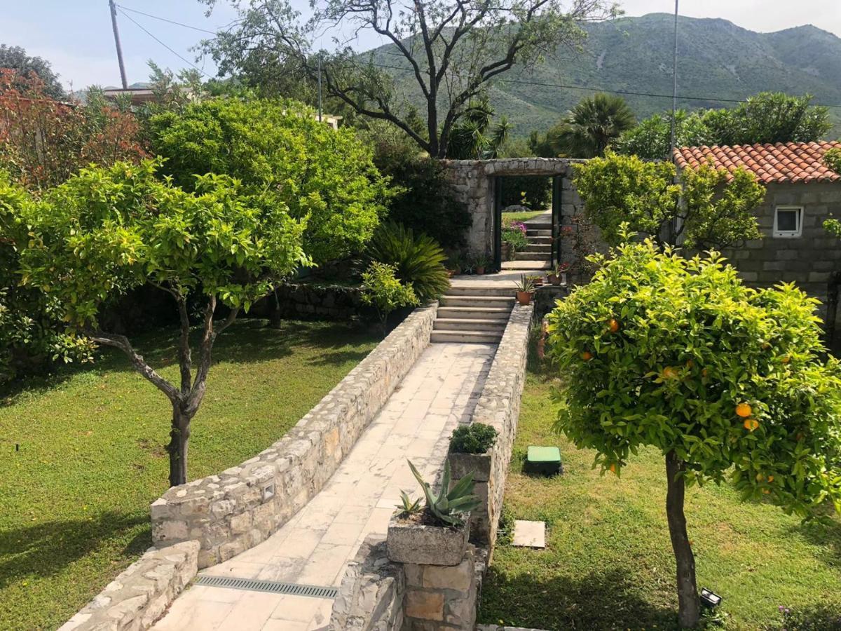 Charming Apartment For 3 Pax In Cavtat Dış mekan fotoğraf